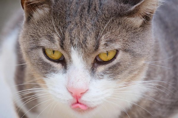 Unleashing innovative tactics to reduce water use in uk households